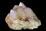 Cactus Quartz (Amethyst) Crystal Cluster - South Africa #137800-1